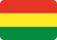 Football. Bolivia. LFPB