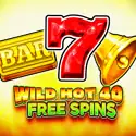 Wild Hot 40 Free Spins