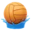 WP