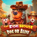 The Dog House - Dog or Alive