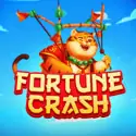 Fortune Crash